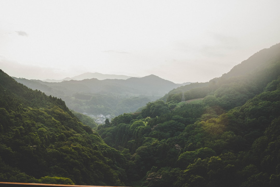 Forested mountain slope evoking the Mount Fuji foothills where Fuji Gotemba distillery is located