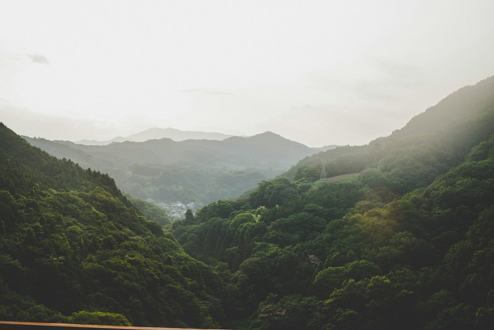 Hakushu distillery: the forest distillery, and why it exists