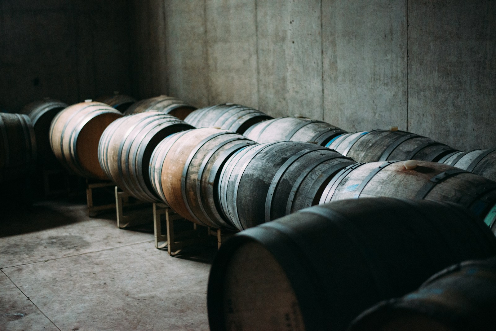 Rows of whisky casks resting on low stands against a bare concrete wall in a cellar.