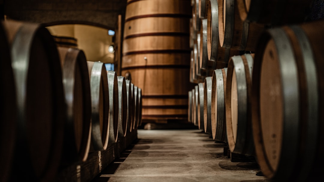 A row of wooden casks lining a narrow aisle in a dim maturation cellar
