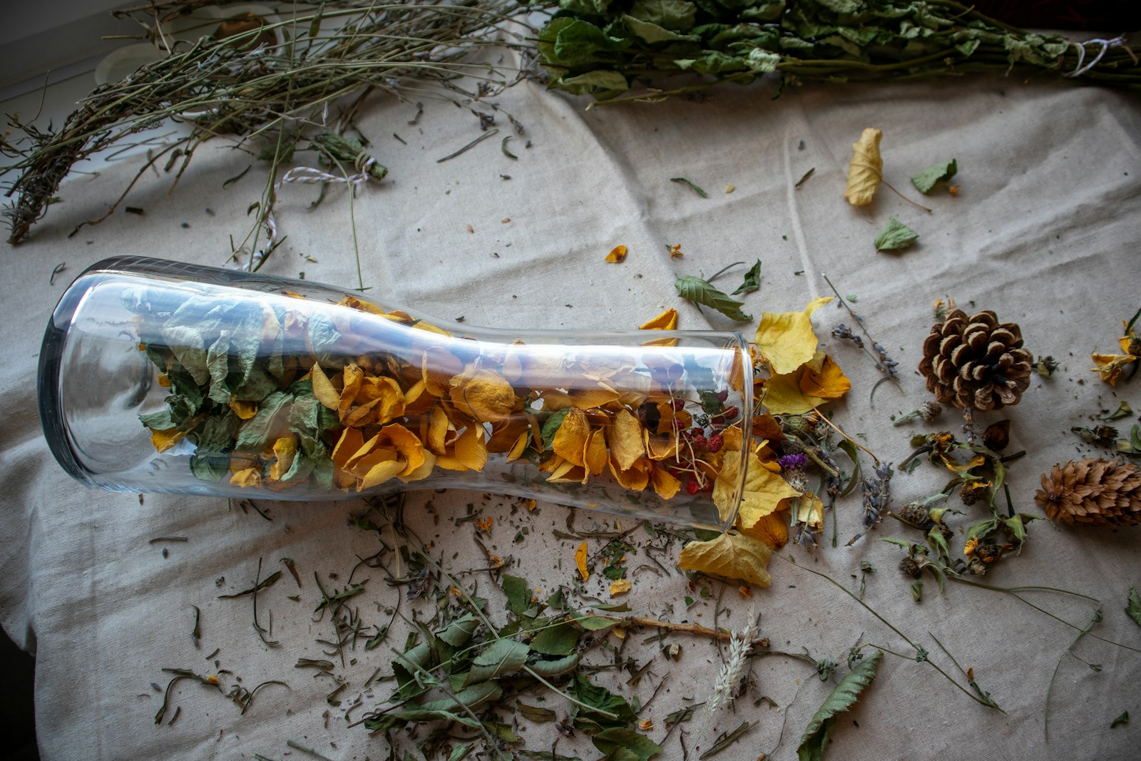 Botanical ingredients used in gin and whisky production, reflecting Sakurao distillery craft in Hiroshima